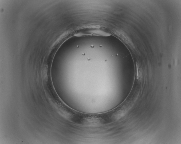 X0000068770300200604281245