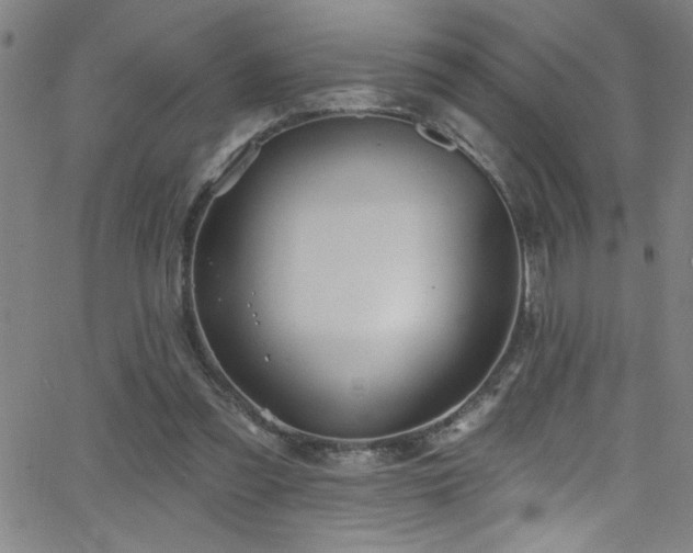 X0000068770301200604281245