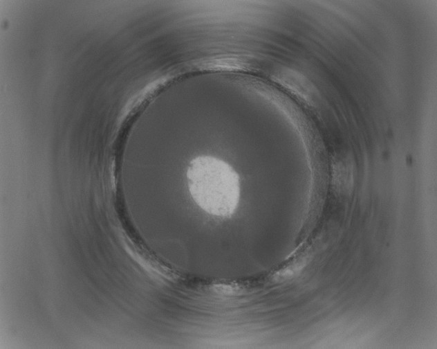 X0000068770302200604281245