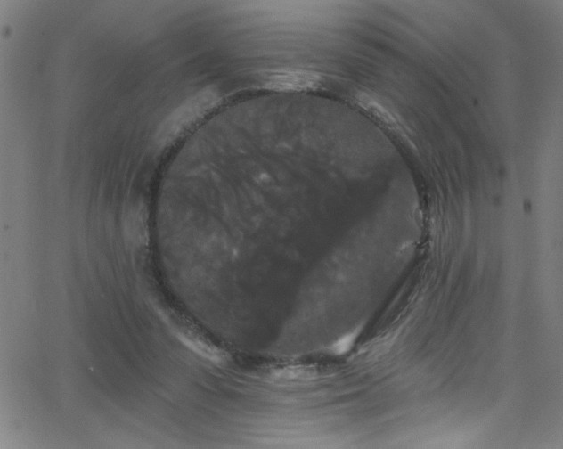 X0000068770303200604281245