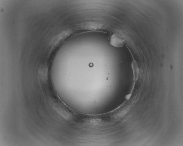 X0000068770304200604281245