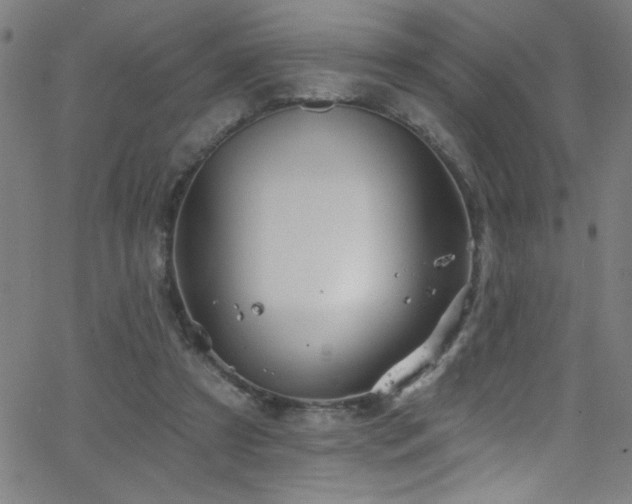 X0000068770305200604281245