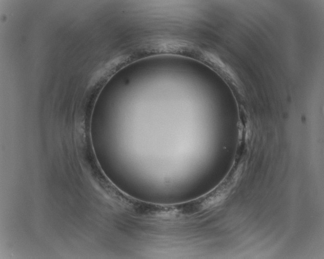 X0000068770306200604281245