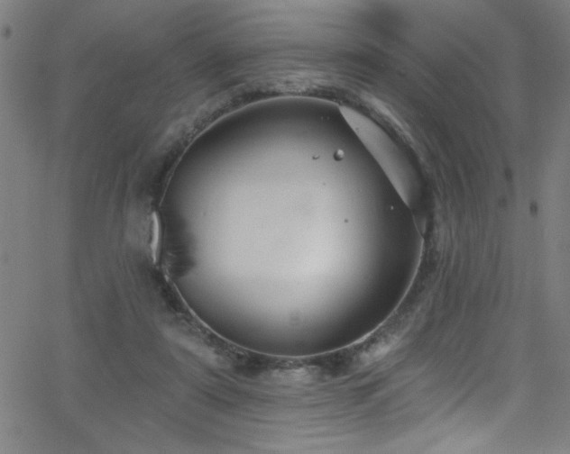 X0000068770307200604281245