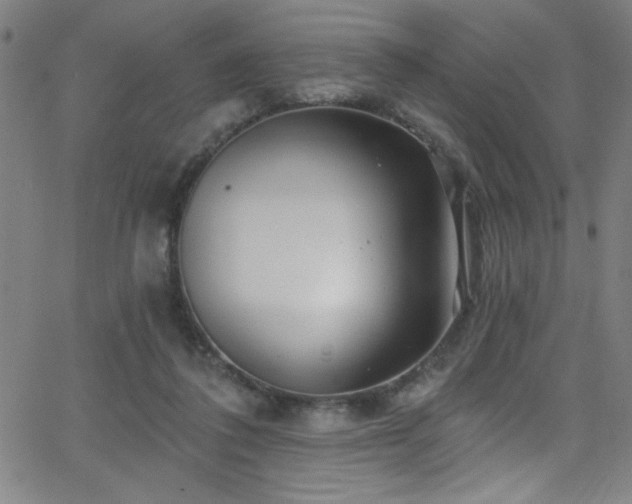 X0000068770308200604281245