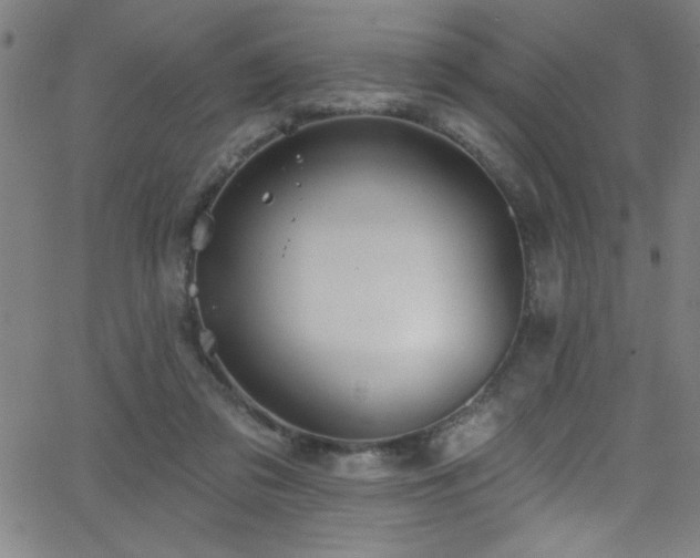 X0000068770309200604281245