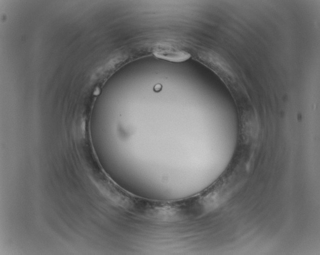 X0000068770310200604281245