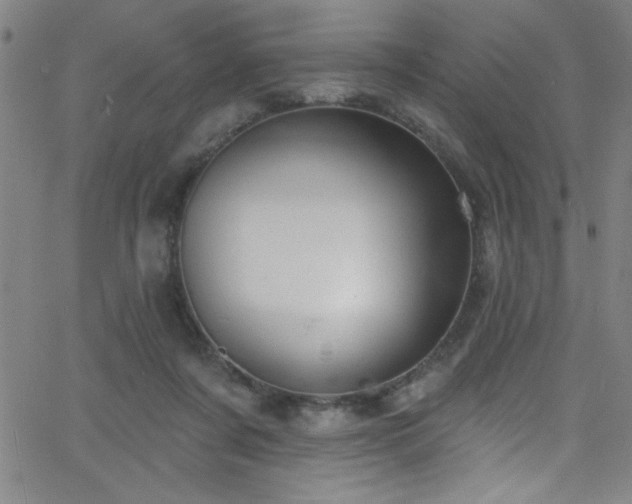 X0000068770311200604281245