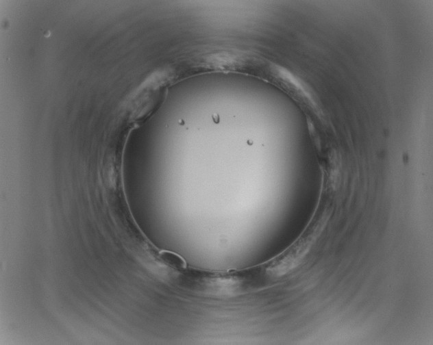 X0000068770313200604281245