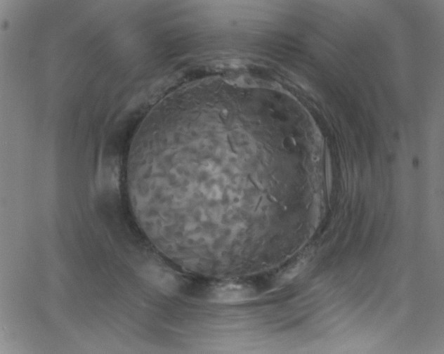 X0000068770315200604281245