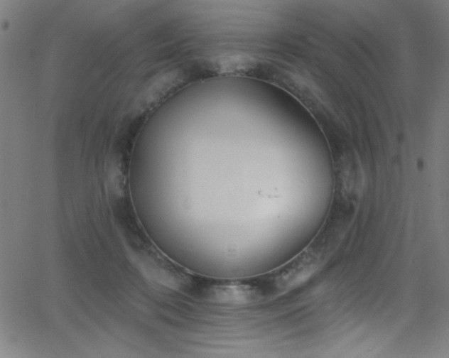 X0000068770316200604281245