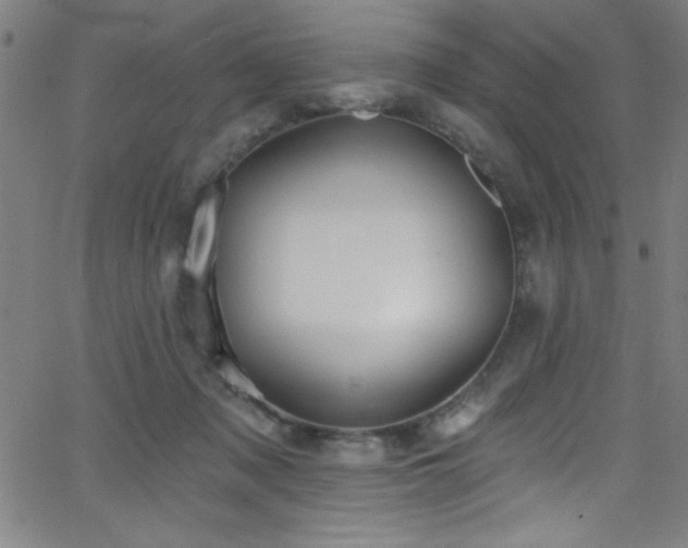 X0000068770317200604281245