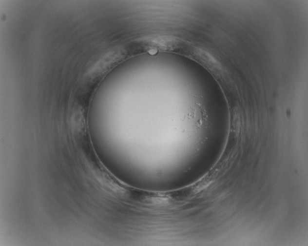 X0000068770318200604281245