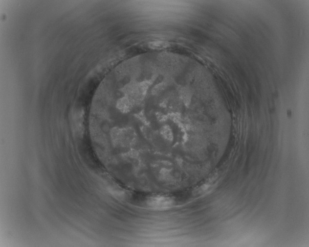 X0000068770319200604281245