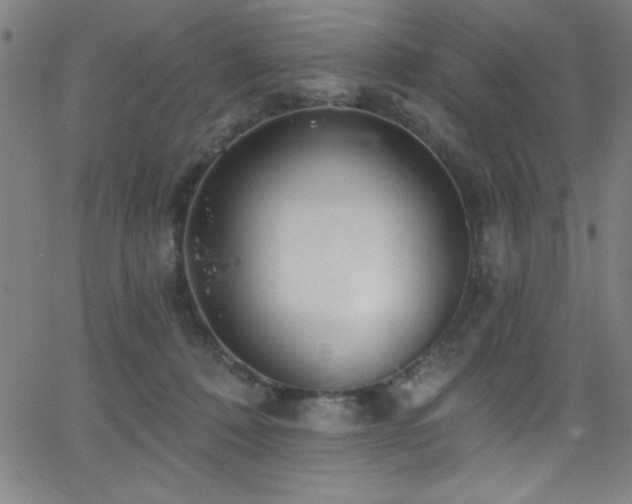 X0000068770320200604281245