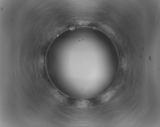 X0000068770321200604281245