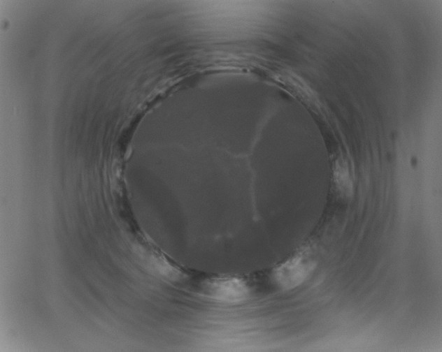 X0000068770322200604281245