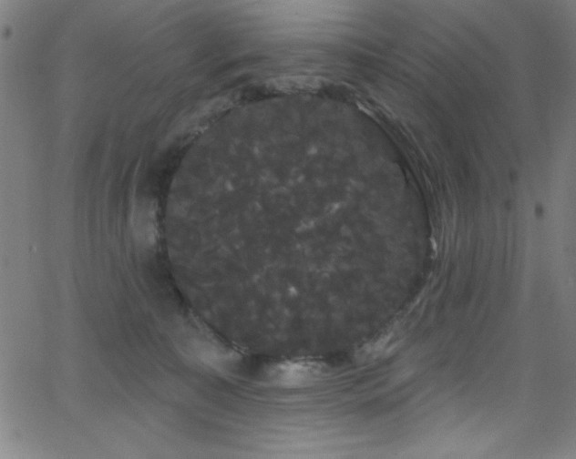 X0000068770323200604281245