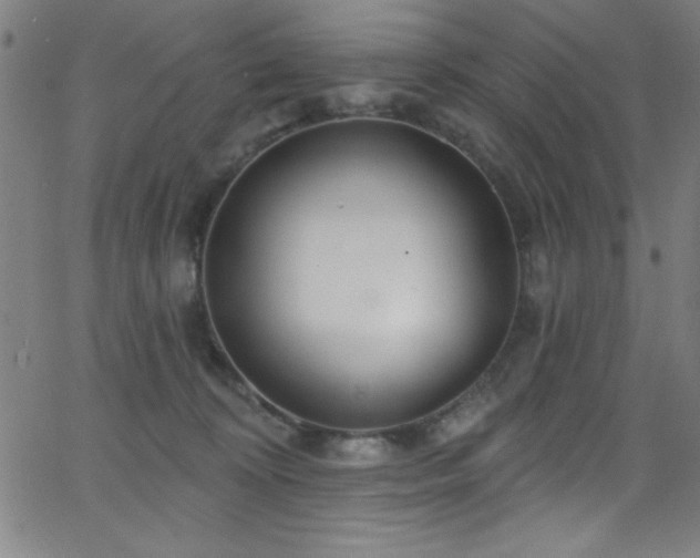 X0000068770324200604281245