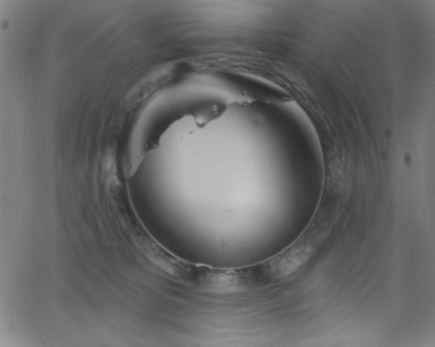 X0000068770325200604281245