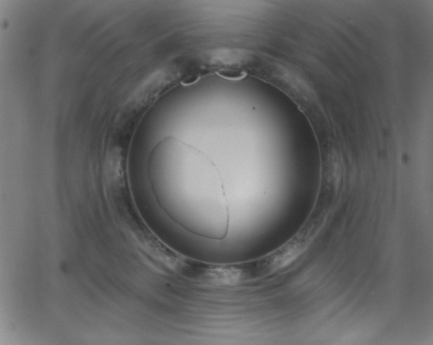 X0000068770328200604281245