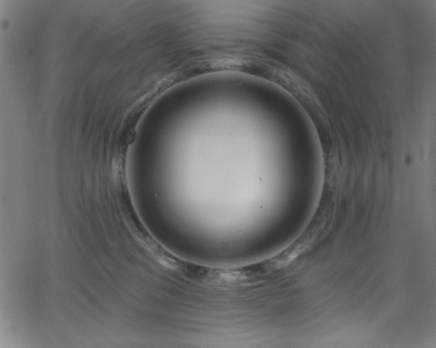 X0000068770329200604281245