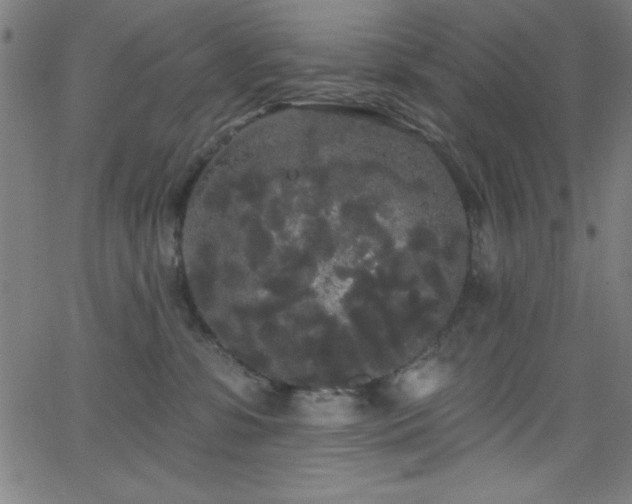 X0000068770331200604281245