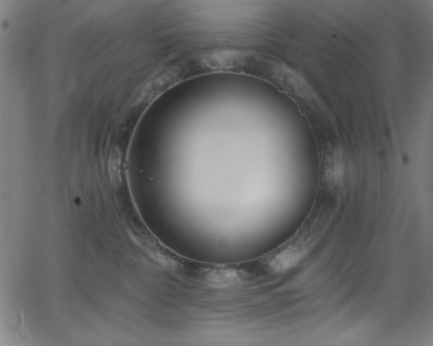 X0000068770332200604281245