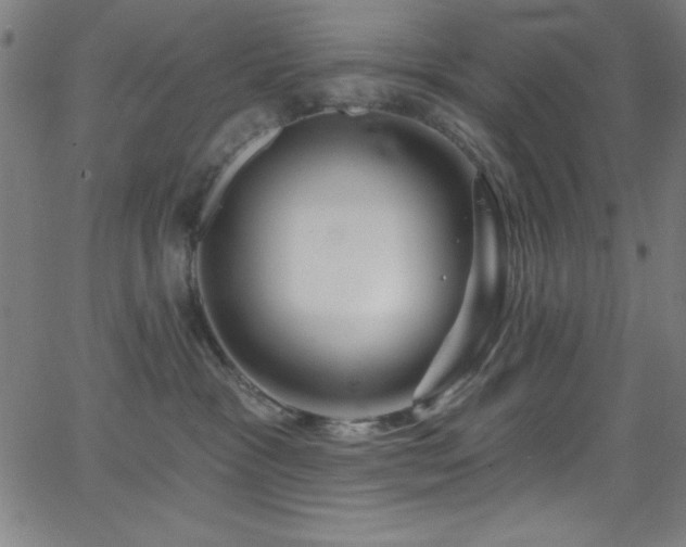 X0000068770333200604281245