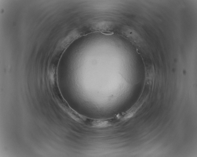 X0000068770334200604281245