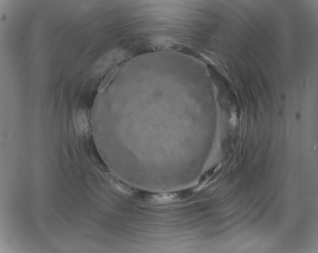 X0000068770335200604281245