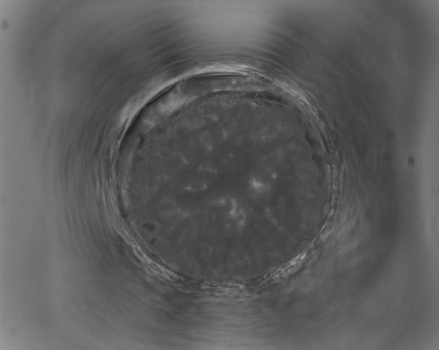 X0000068770337200604281244