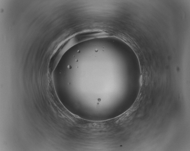 X0000068770338200604281244