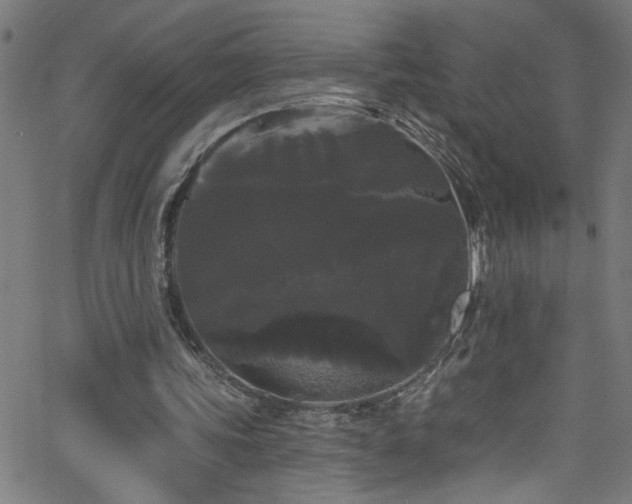 X0000068770339200604281244