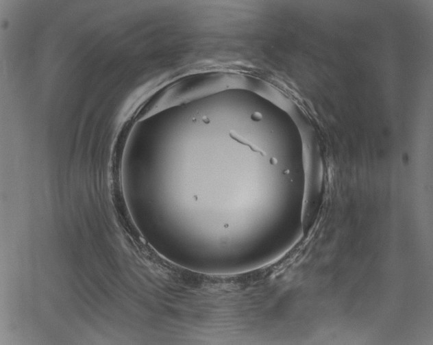 X0000068770340200604281244