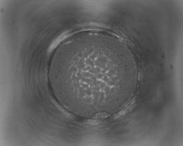 X0000068770341200604281244