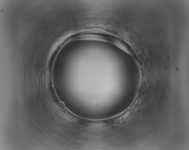 X0000068770342200604281244