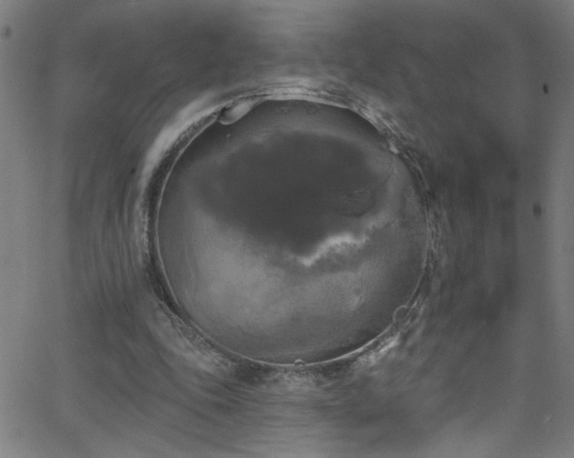 X0000068770343200604281244