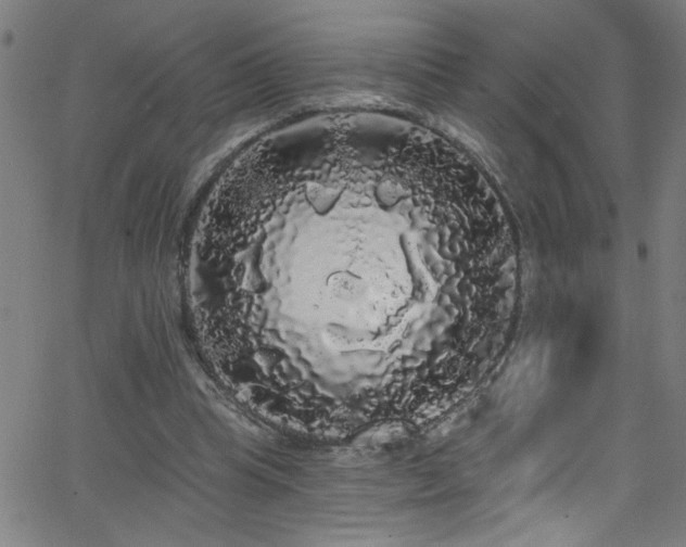 X0000068770345200604281244