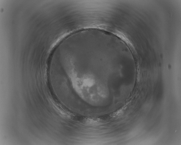 X0000068770346200604281244