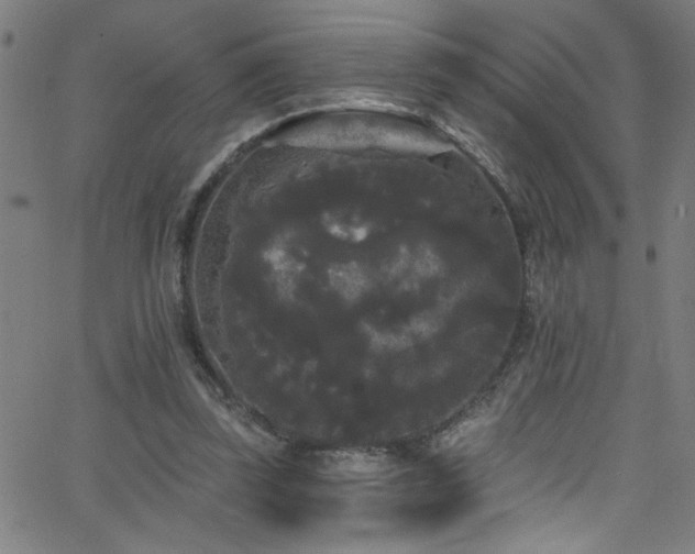 X0000068770347200604281244