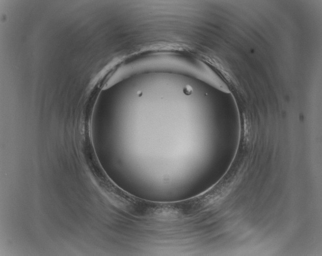 X0000068770348200604281244