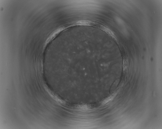 X0000068770349200604281244