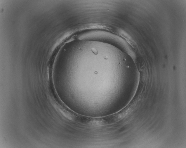 X0000068770350200604281244