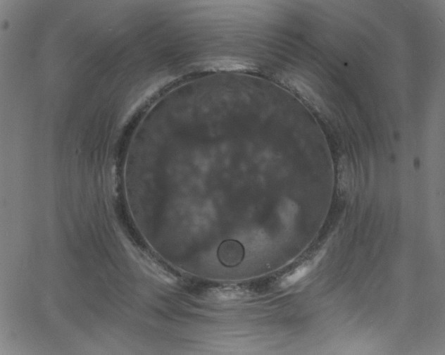 X0000068770351200604281244