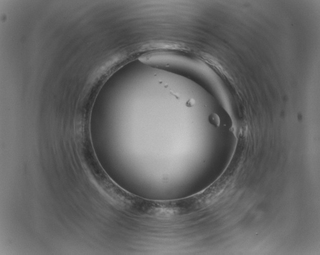 X0000068770352200604281244