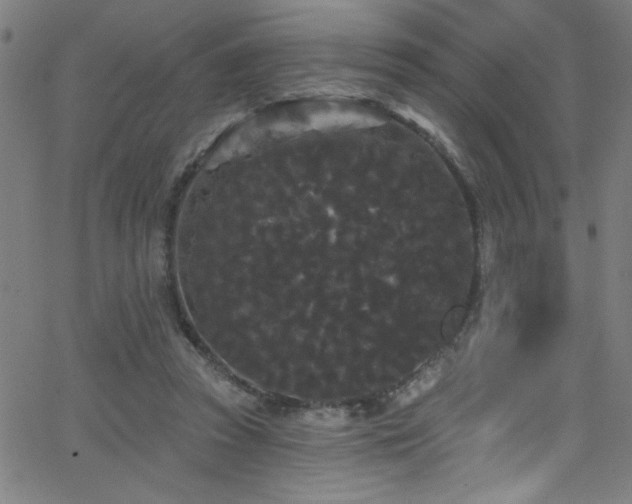 X0000068770353200604281244