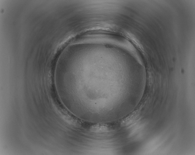 X0000068770354200604281244