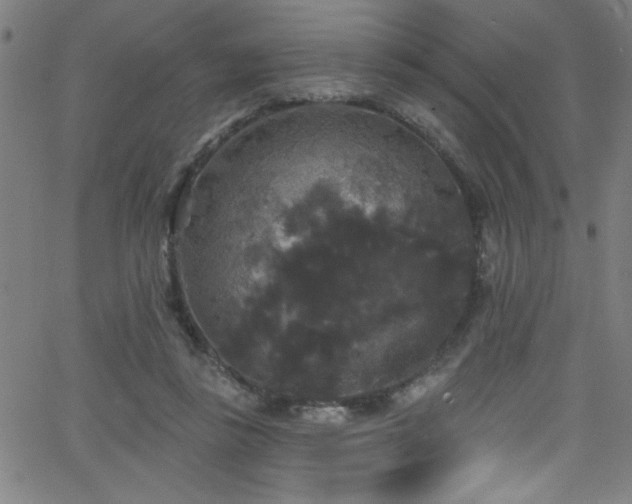 X0000068770355200604281244