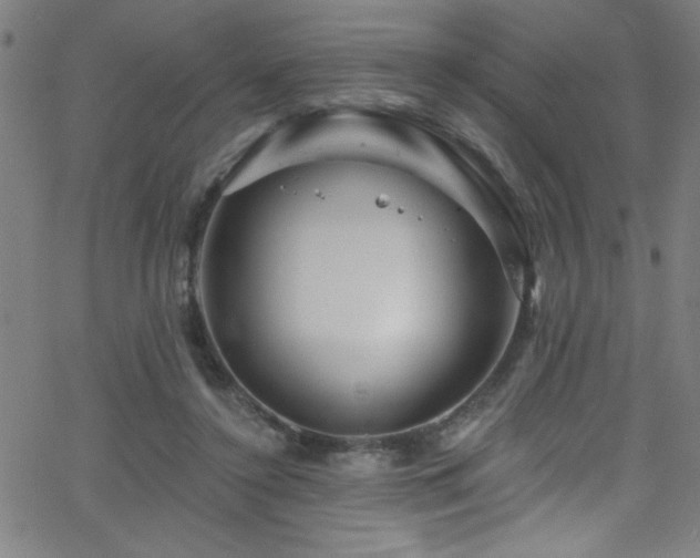 X0000068770356200604281244